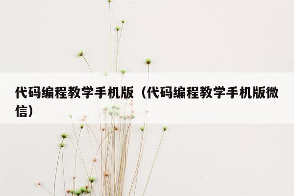 代码编程教学手机版（代码编程教学手机版微信）