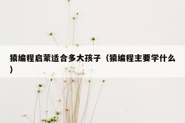 猿编程启蒙适合多大孩子（猿编程主要学什么）