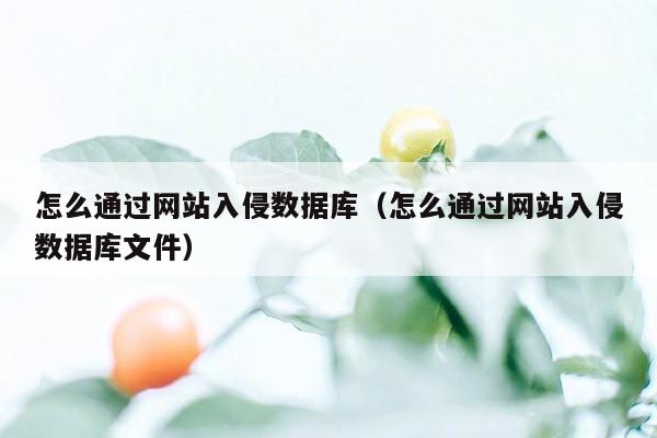 怎么通过网站入侵数据库（怎么通过网站入侵数据库文件）