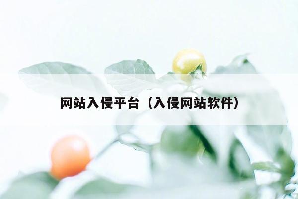 网站入侵平台（入侵网站软件）