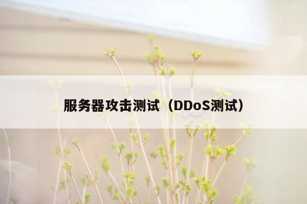 服务器攻击测试（DDoS测试）