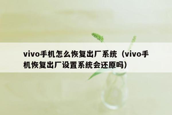 vivo手机怎么恢复出厂系统（vivo手机恢复出厂设置系统会还原吗）