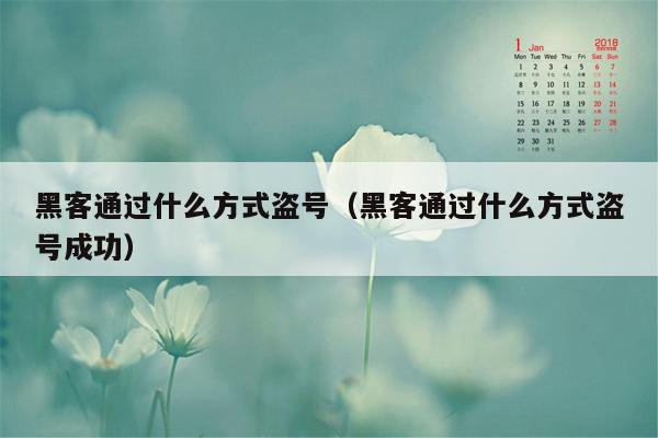 黑客通过什么方式盗号（黑客通过什么方式盗号成功）