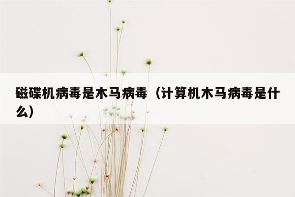 磁碟机病毒是木马病毒（计算机木马病毒是什么）