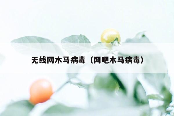 无线网木马病毒（网吧木马病毒）