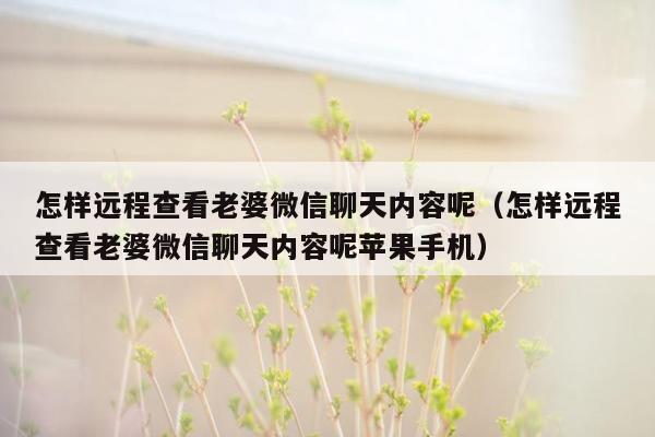 怎样远程查看老婆微信聊天内容呢（怎样远程查看老婆微信聊天内容呢苹果手机）