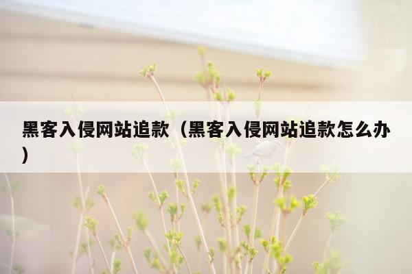 黑客入侵网站追款（黑客入侵网站追款怎么办）