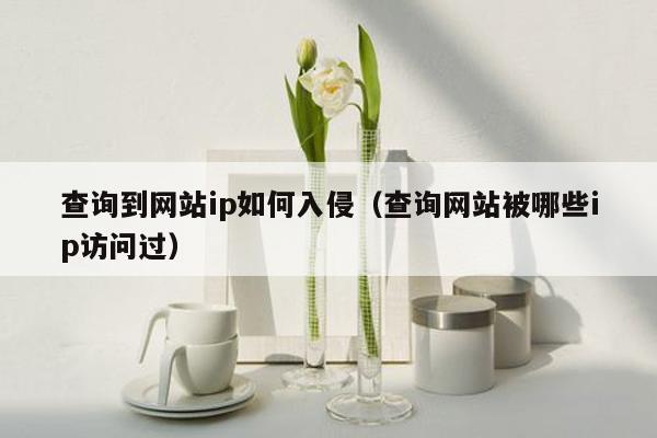 查询到网站ip如何入侵（查询网站被哪些ip访问过）