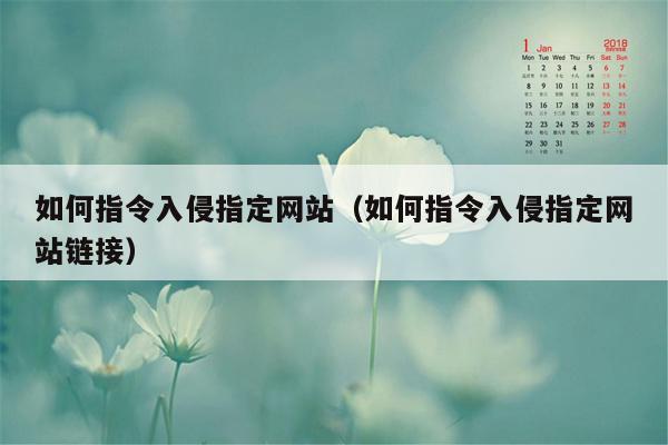 如何指令入侵指定网站（如何指令入侵指定网站链接）