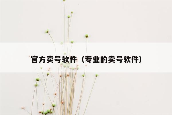 官方卖号软件（专业的卖号软件）