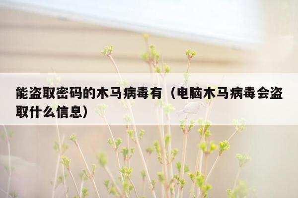 能盗取密码的木马病毒有（电脑木马病毒会盗取什么信息）