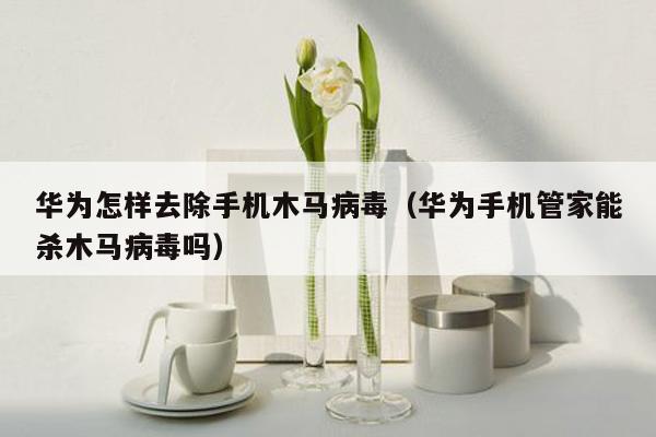 华为怎样去除手机木马病毒（华为手机管家能杀木马病毒吗）