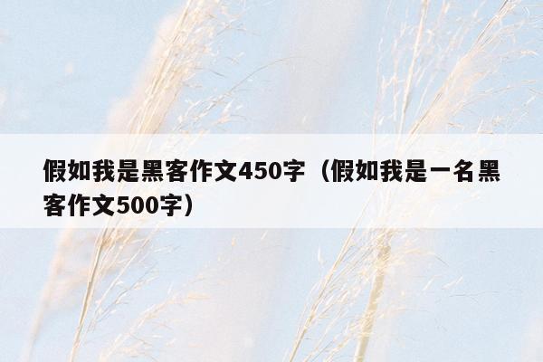 假如我是黑客作文450字（假如我是一名黑客作文500字）