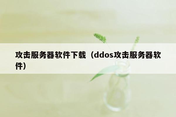 攻击服务器软件下载（ddos攻击服务器软件）