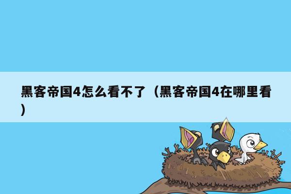 黑客帝国4怎么看不了（黑客帝国4在哪里看）