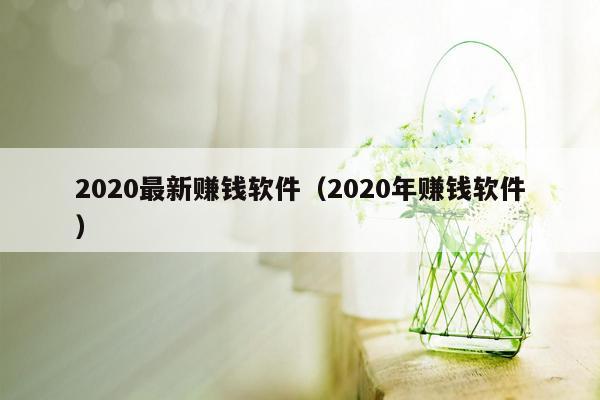 2020最新赚钱软件（2020年赚钱软件）