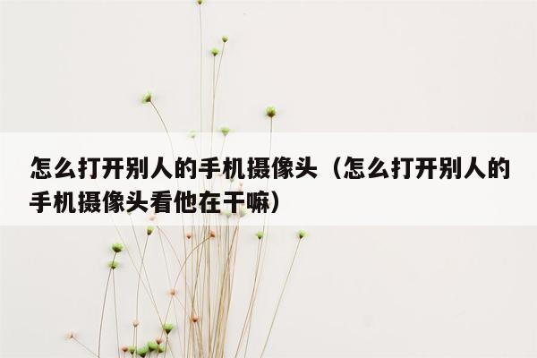 怎么打开别人的手机摄像头（怎么打开别人的手机摄像头看他在干嘛）