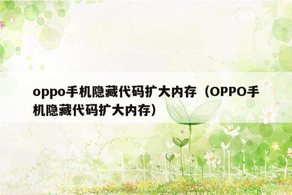 oppo手机隐藏代码扩大内存（OPPO手机隐藏代码扩大内存）