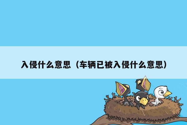 入侵什么意思（车辆已被入侵什么意思）