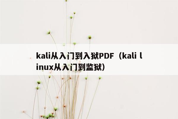 kali从入门到入狱PDF（kali linux从入门到监狱）