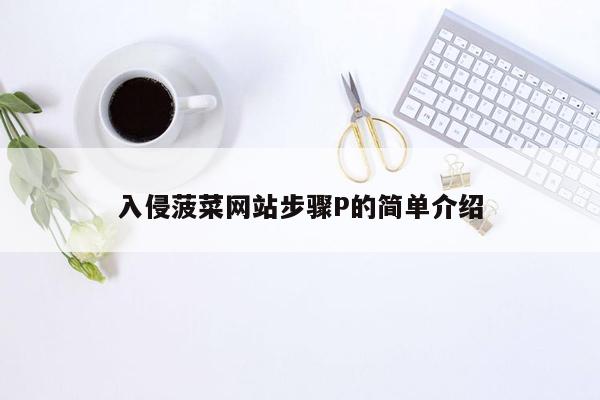 入侵菠菜网站步骤P的简单介绍