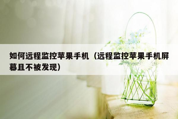 如何远程监控苹果手机（远程监控苹果手机屏幕且不被发现）