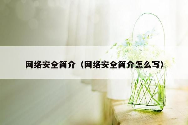 网络安全简介（网络安全简介怎么写）