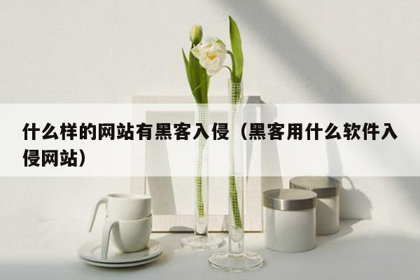 什么样的网站有黑客入侵（黑客用什么软件入侵网站）