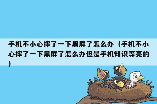 手机不小心摔了一下黑屏了怎么办（手机不小心摔了一下黑屏了怎么办但是手机知识等亮的）