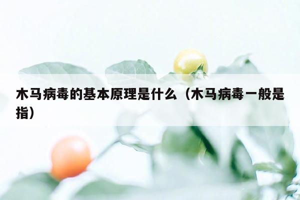 木马病毒的基本原理是什么（木马病毒一般是指）