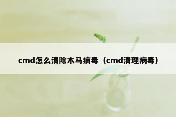 cmd怎么清除木马病毒（cmd清理病毒）