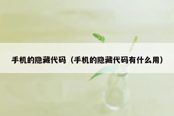 手机的隐藏代码（手机的隐藏代码有什么用）