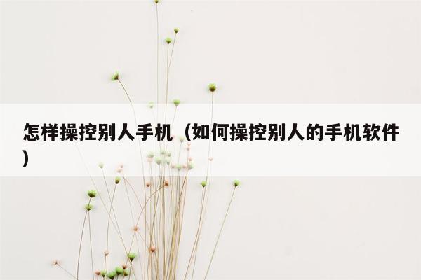 怎样操控别人手机（如何操控别人的手机软件）