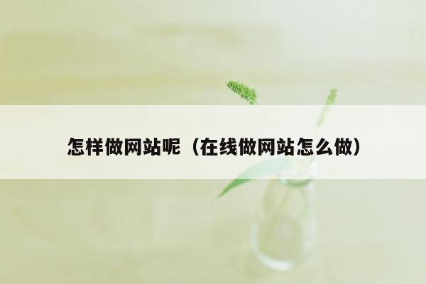 怎样做网站呢（在线做网站怎么做）