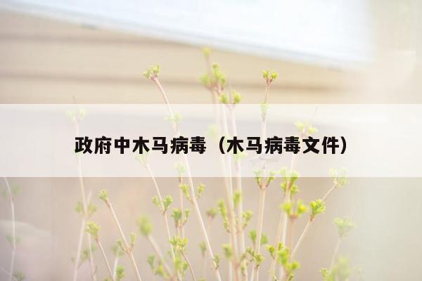 政府中木马病毒（木马病毒文件）