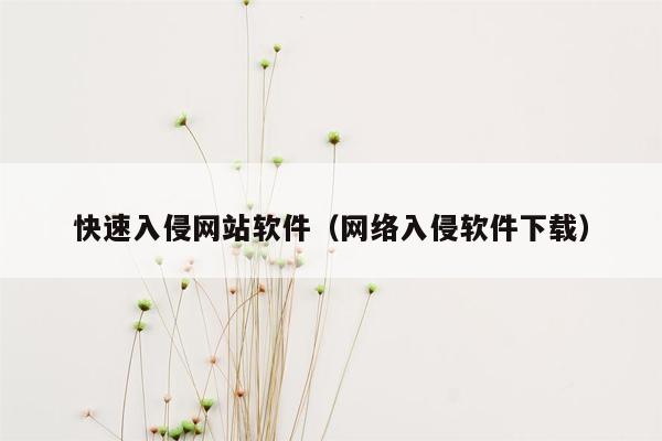 快速入侵网站软件（网络入侵软件下载）