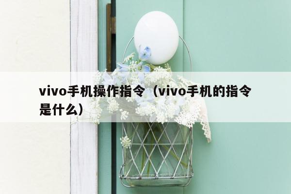 vivo手机操作指令（vivo手机的指令是什么）