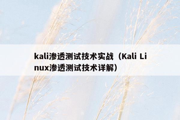 kali渗透测试技术实战（Kali Linux渗透测试技术详解）