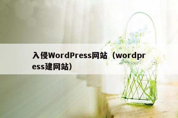 入侵WordPress网站（wordpress建网站）