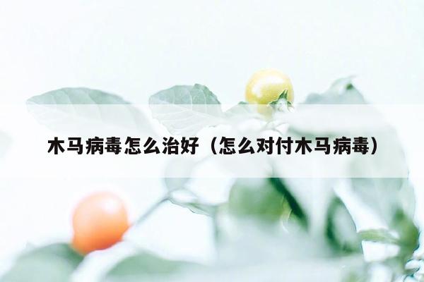 木马病毒怎么治好（怎么对付木马病毒）