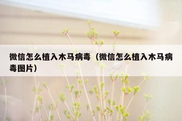 微信怎么植入木马病毒（微信怎么植入木马病毒图片）