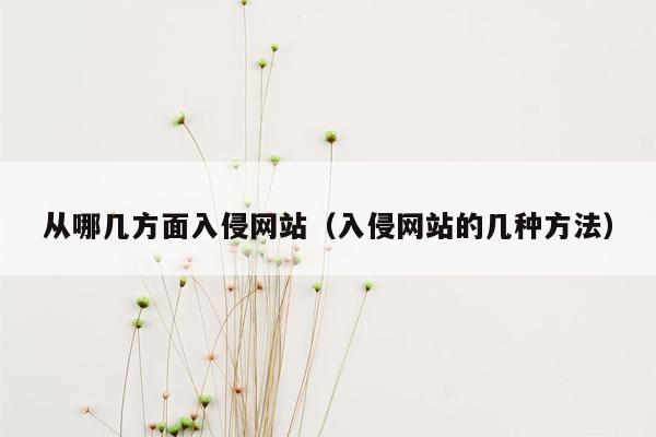 从哪几方面入侵网站（入侵网站的几种方法）