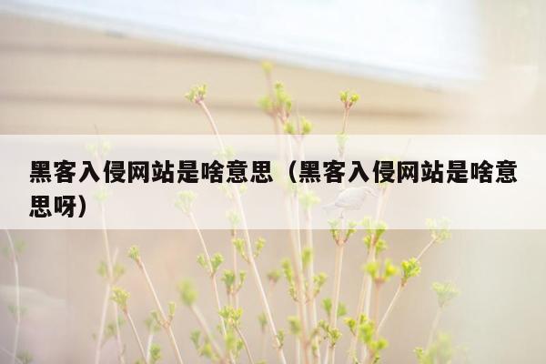 黑客入侵网站是啥意思（黑客入侵网站是啥意思呀）