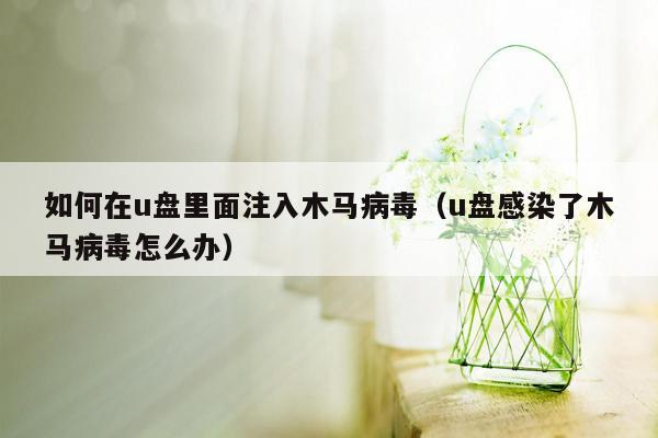 如何在u盘里面注入木马病毒（u盘感染了木马病毒怎么办）