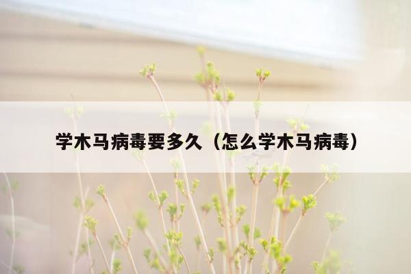 学木马病毒要多久（怎么学木马病毒）