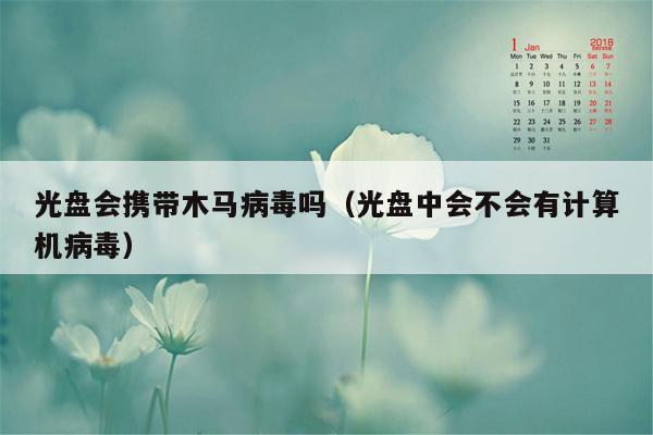 光盘会携带木马病毒吗（光盘中会不会有计算机病毒）