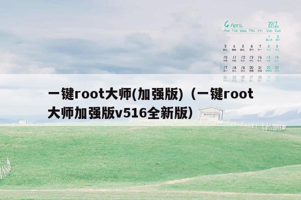 一键root大师(加强版)（一键root大师加强版v516全新版）