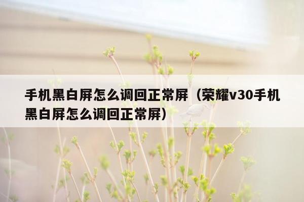 手机黑白屏怎么调回正常屏（荣耀v30手机黑白屏怎么调回正常屏）