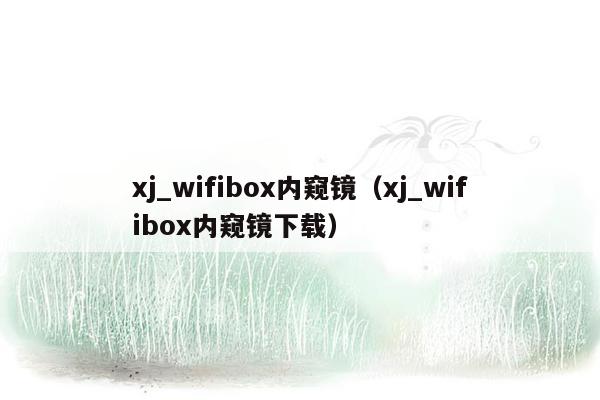 xj_wifibox内窥镜（xj_wifibox内窥镜下载）