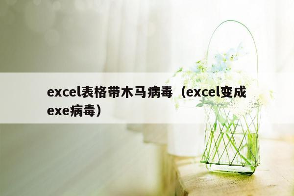 excel表格带木马病毒（excel变成exe病毒）